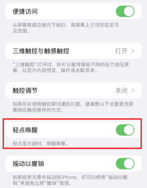 阜阳苹果授权维修站分享iPhone轻点无法唤醒怎么办