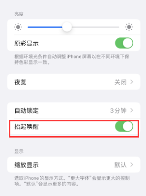 阜阳苹果授权维修站分享iPhone轻点无法唤醒怎么办