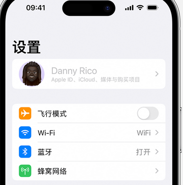 阜阳appleID维修服务iPhone设置中Apple ID显示为灰色无法使用 