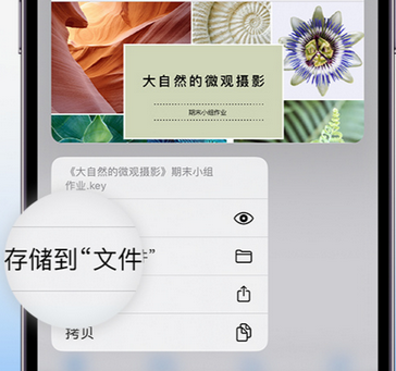 阜阳apple维修中心分享iPhone文件应用中存储和找到下载文件