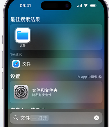 阜阳apple维修中心分享iPhone文件应用中存储和找到下载文件