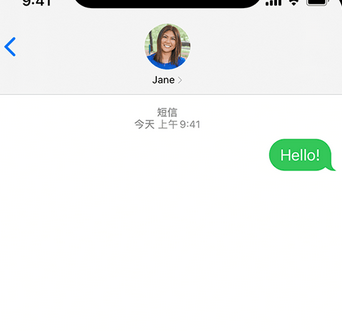 阜阳apple维修iPhone上无法正常发送iMessage信息