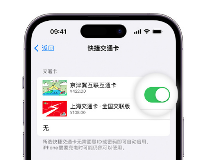 阜阳apple维修点分享iPhone上更换Apple Pay快捷交通卡手绘卡面 