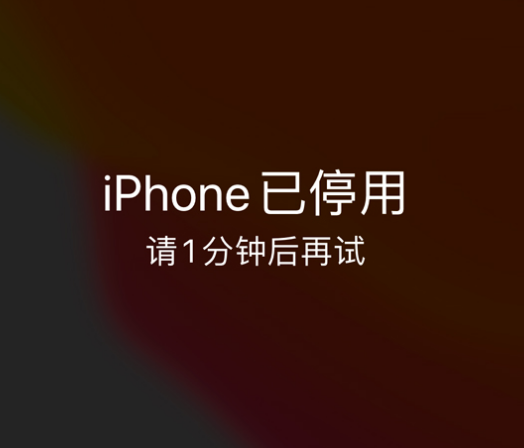 阜阳苹果手机维修分享:iPhone 显示“不可用”或“已停用”怎么办？还能保留数据吗？ 