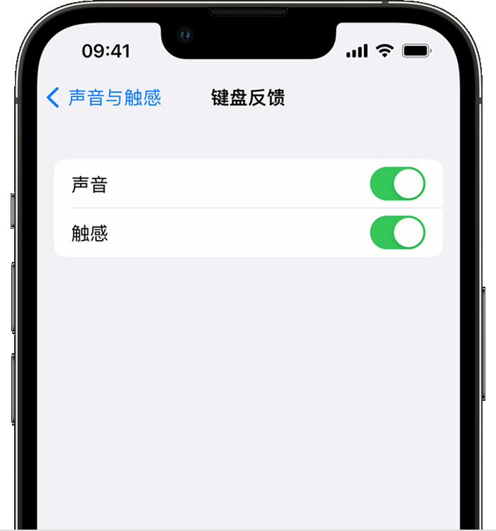 阜阳苹果14维修店分享如何在 iPhone 14 机型中使用触感键盘 