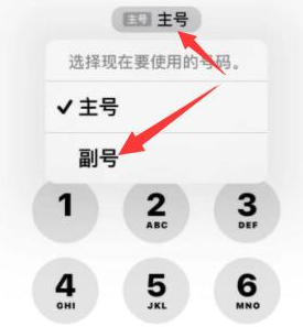 阜阳苹果14维修店分享iPhone 14 Pro Max使用副卡打电话的方法 