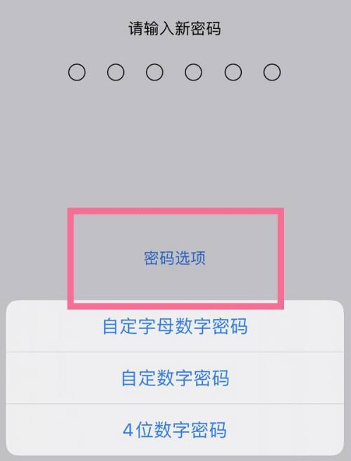 阜阳苹果14维修分享iPhone 14plus设置密码的方法 