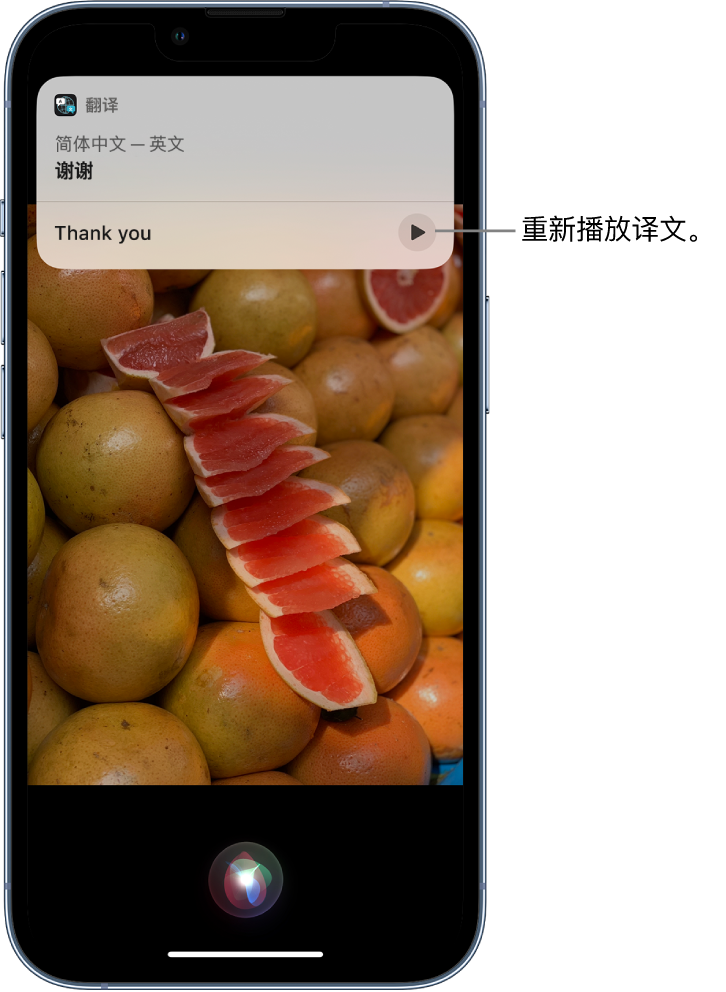 阜阳苹果14维修分享 iPhone 14 机型中使用 Siri：了解 Siri 能帮你做什么 