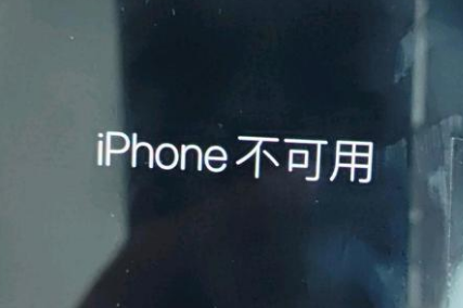 阜阳苹果服务网点分享锁屏界面显示“iPhone 不可用”如何解决 