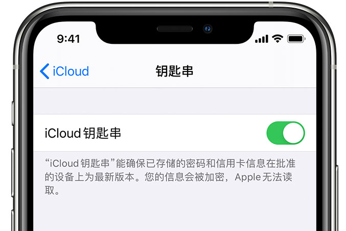 阜阳苹果手机维修分享在 iPhone 上开启 iCloud 钥匙串之后会储存哪些信息 