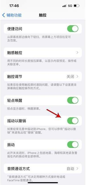 阜阳苹果手机维修分享iPhone手机如何设置摇一摇删除文字 