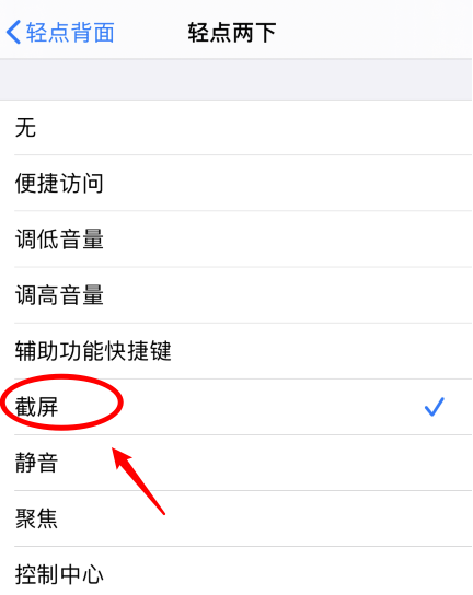 阜阳苹果手机维修分享iPhone12如何启用双击截屏 