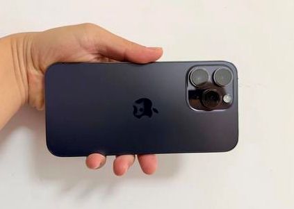 阜阳苹果维修点分享iPhone 14 Pro Max黑屏少见故障盘点 